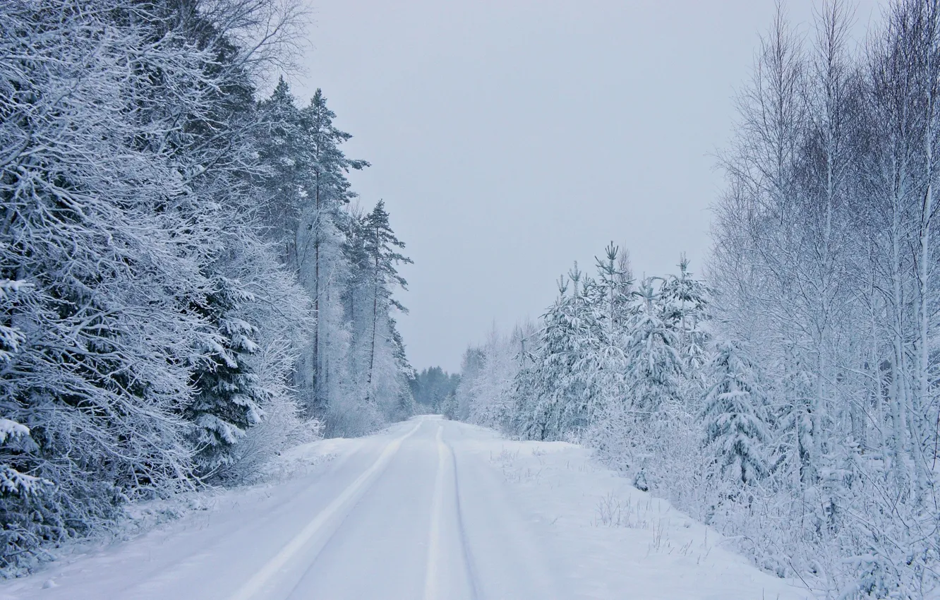 Photo wallpaper winter, road, forest, snow, ate