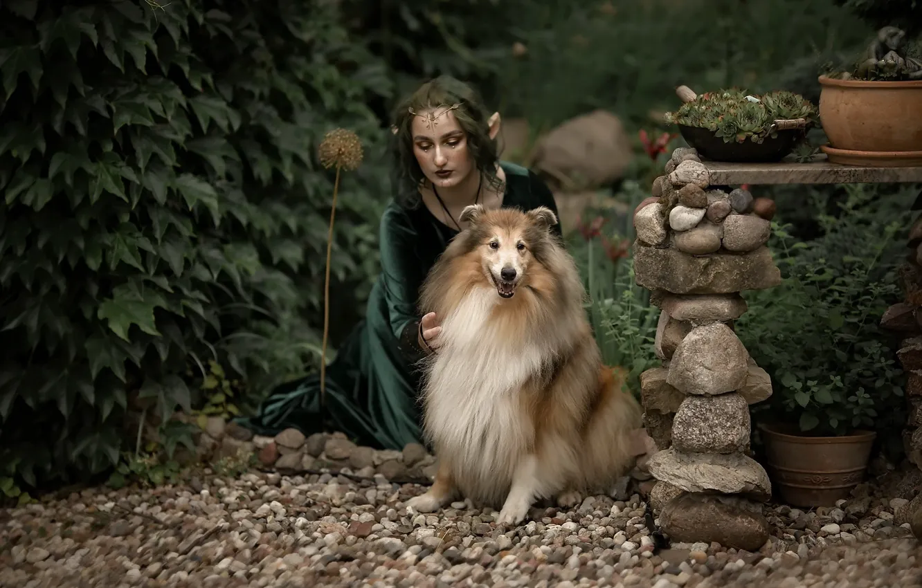 Photo wallpaper girl, dog, elf