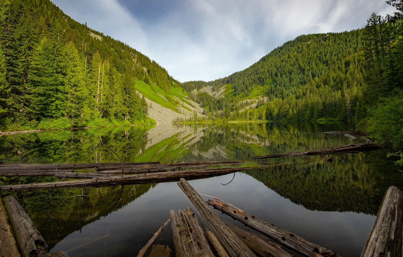 Photo wallpaper forest, mountains, reflection, log, pond
