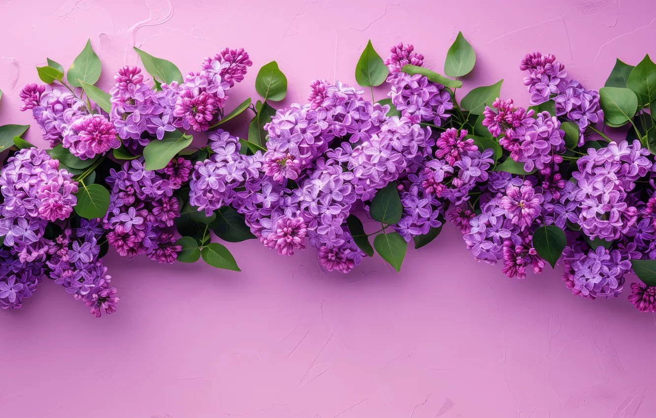 Photo wallpaper leaves, flowers, branches, texture, spring, pink background, flowering, lilac