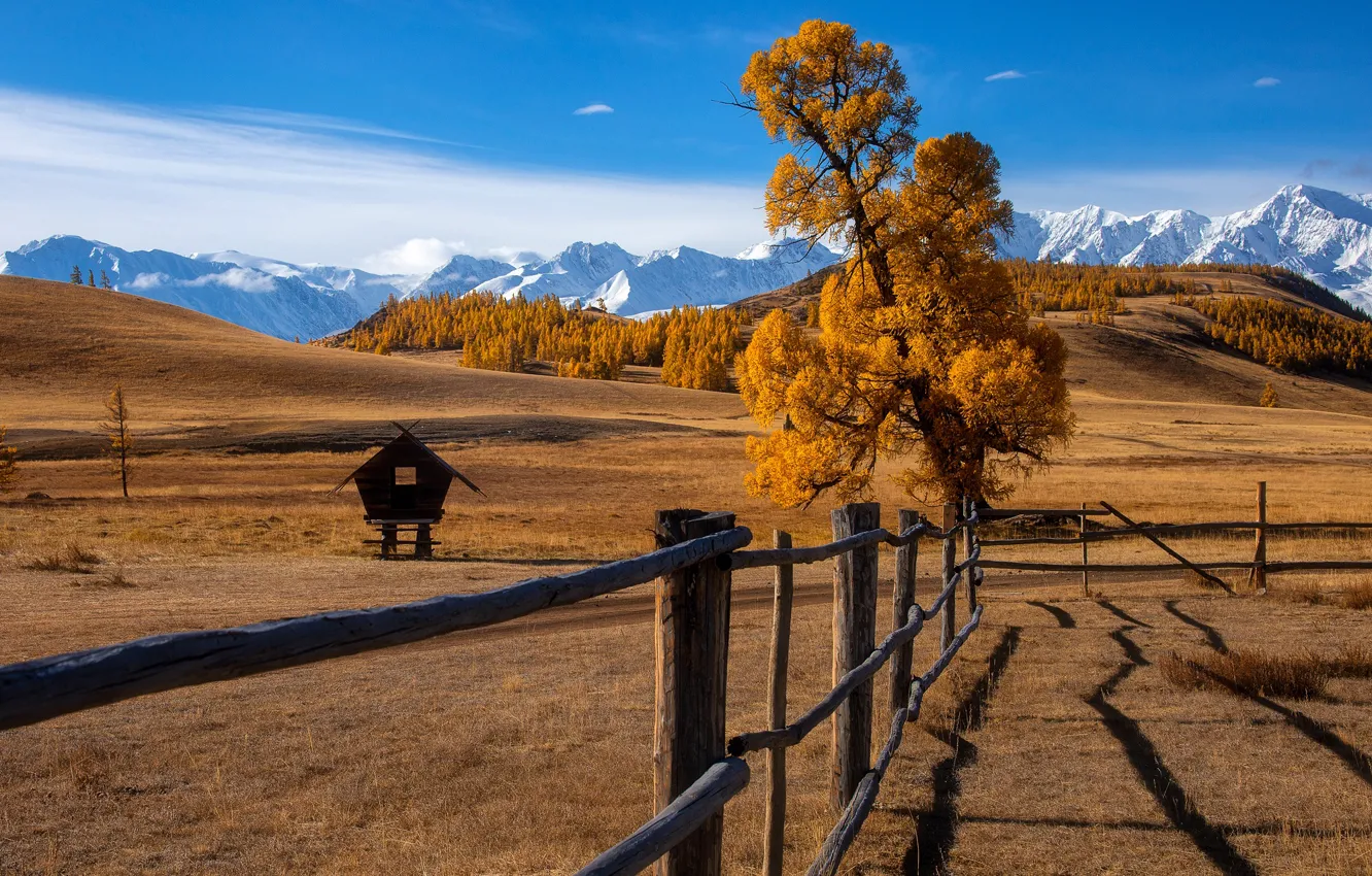 Photo wallpaper autumn, forest, landscape, mountains, nature, hills, hut, fence