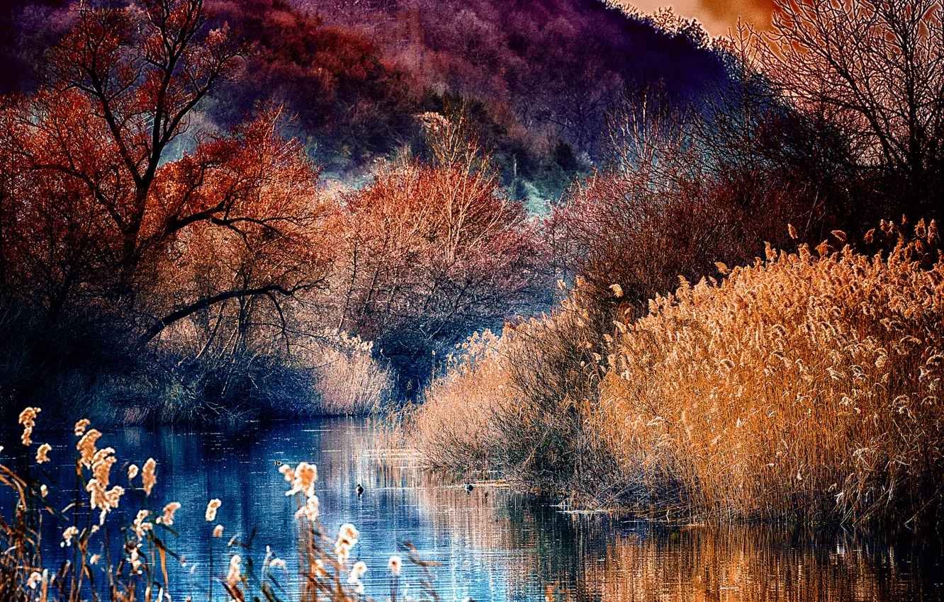 Photo wallpaper autumn, forest, trees, mountains, lake, river