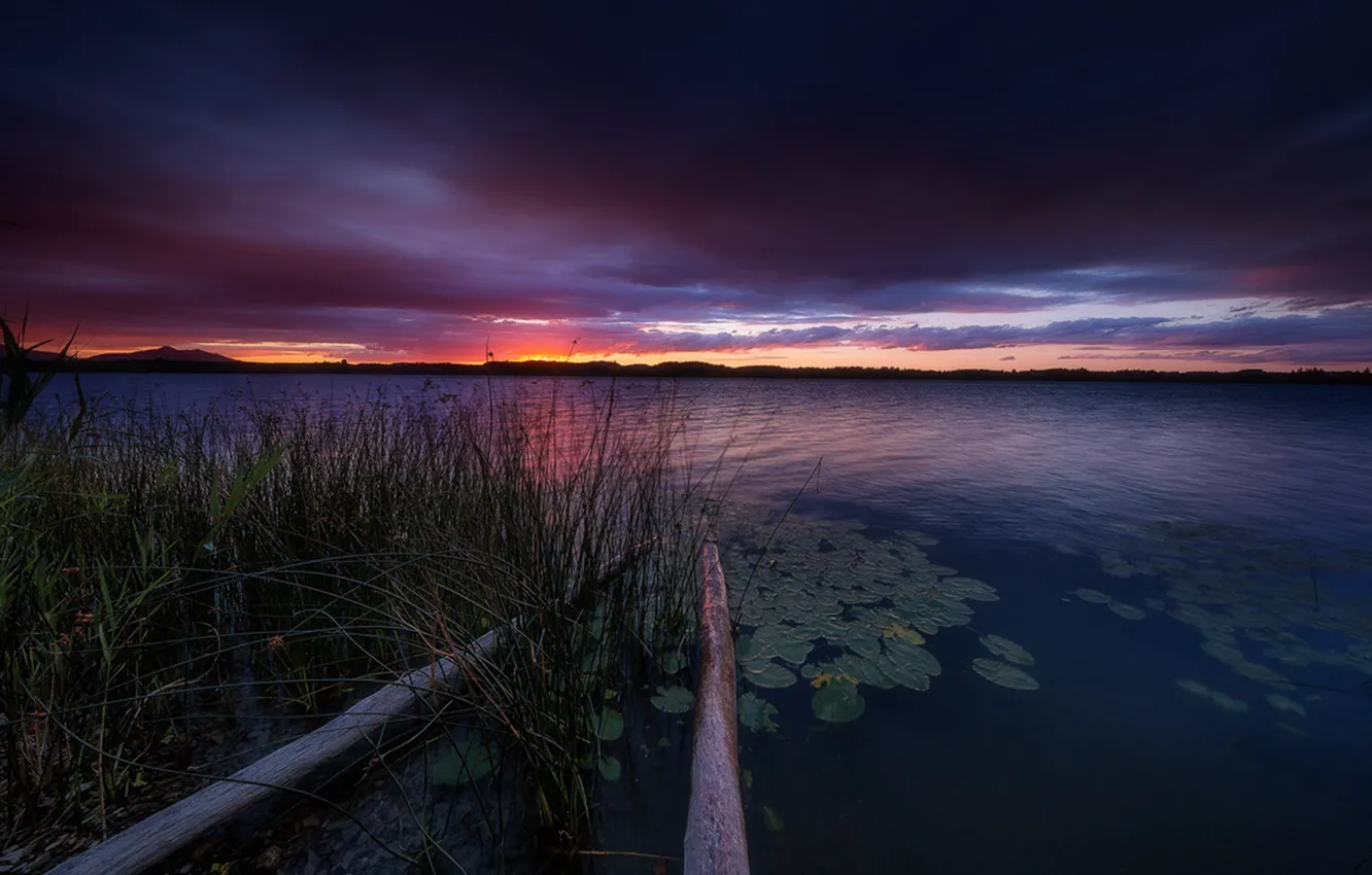 Photo wallpaper grass, clouds, sunset, lake, silence, horizon