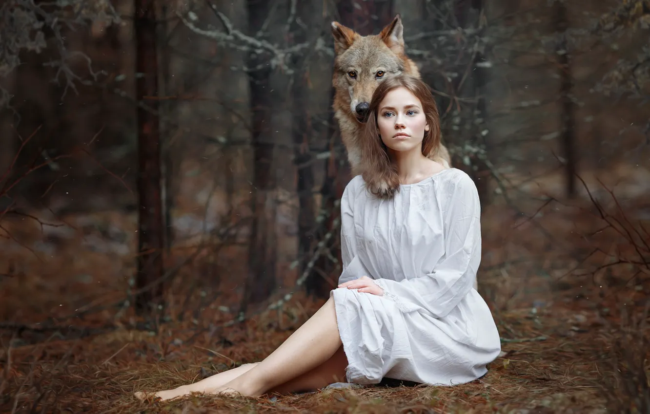 Photo wallpaper forest, girl, wolf, Svetlana Nicotine, Alena Zvereva