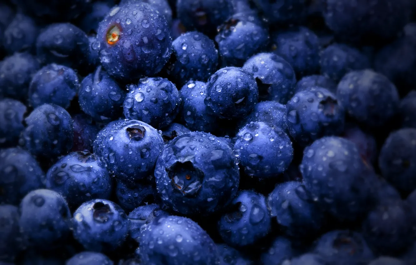 Photo wallpaper berries, blueberries, bilberries