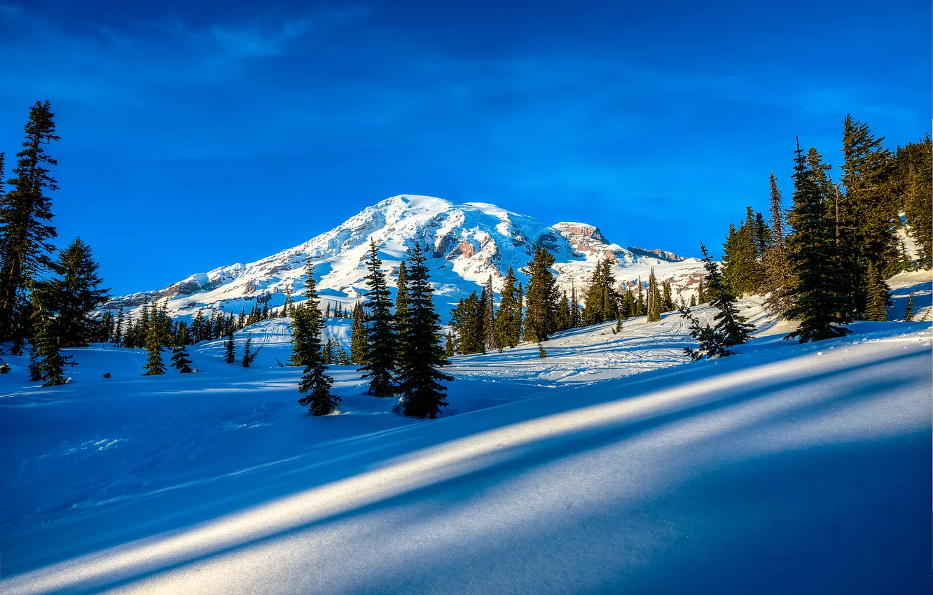Photo wallpaper winter, the sky, clouds, snow, trees, mountains, spruce, slope