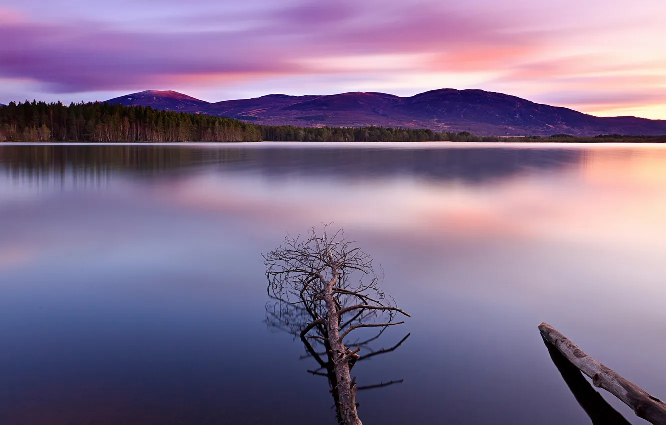 Photo wallpaper trees, landscape, nature, lake