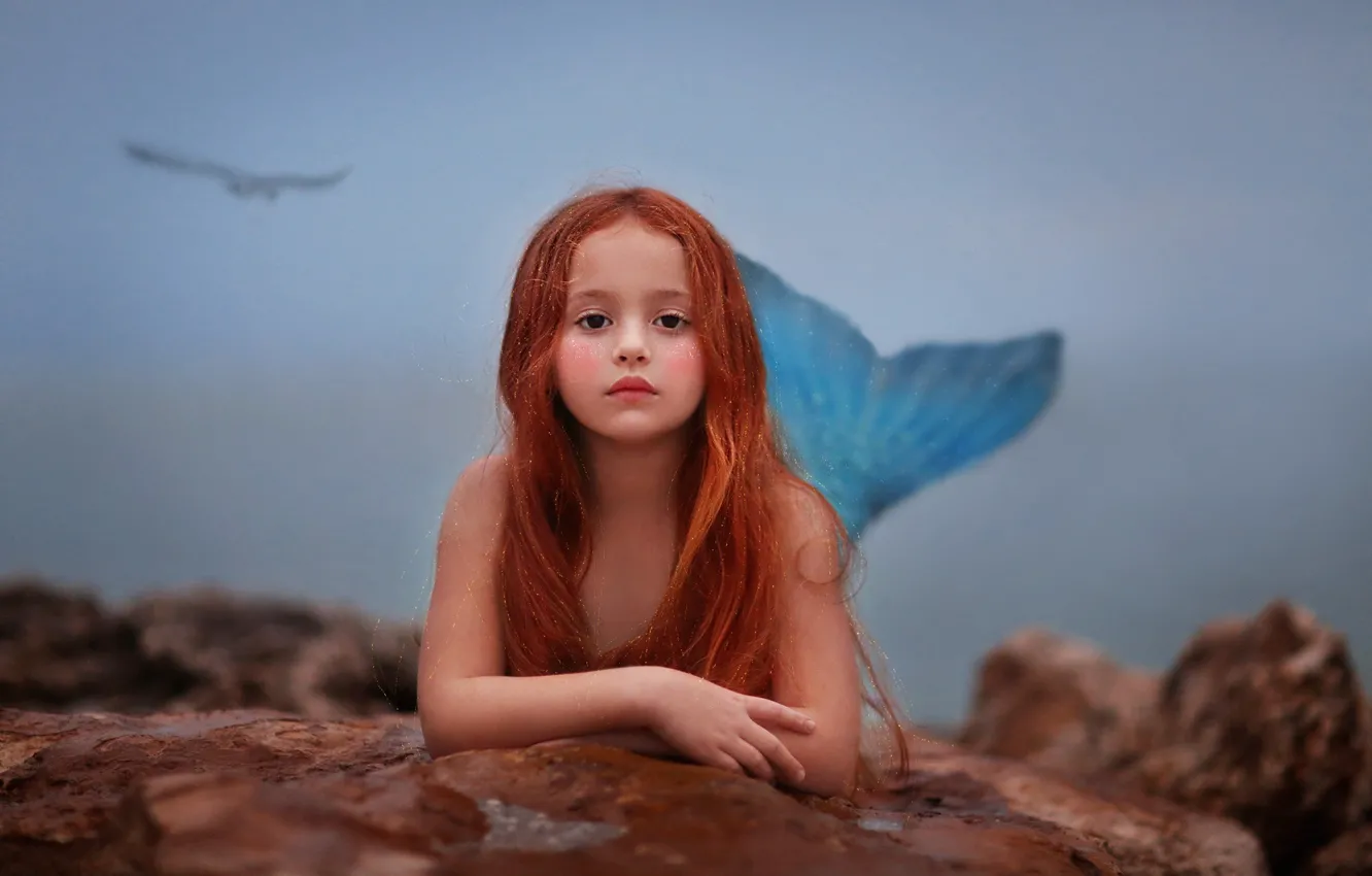 Photo wallpaper stones, bird, mermaid, girl, tail, red, the little mermaid