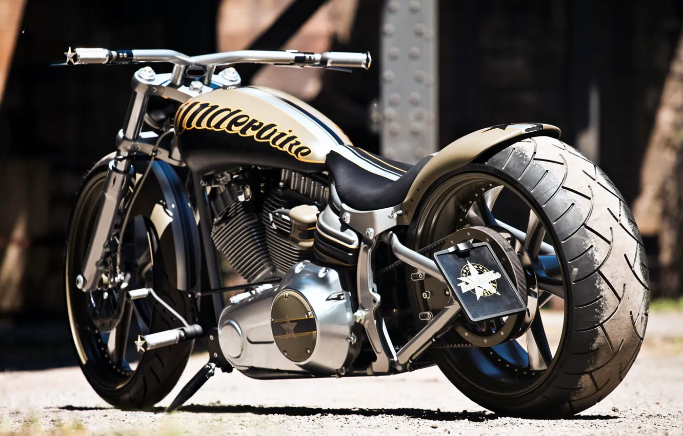 Photo wallpaper Harley-Davidson, Custom, Thunderbike