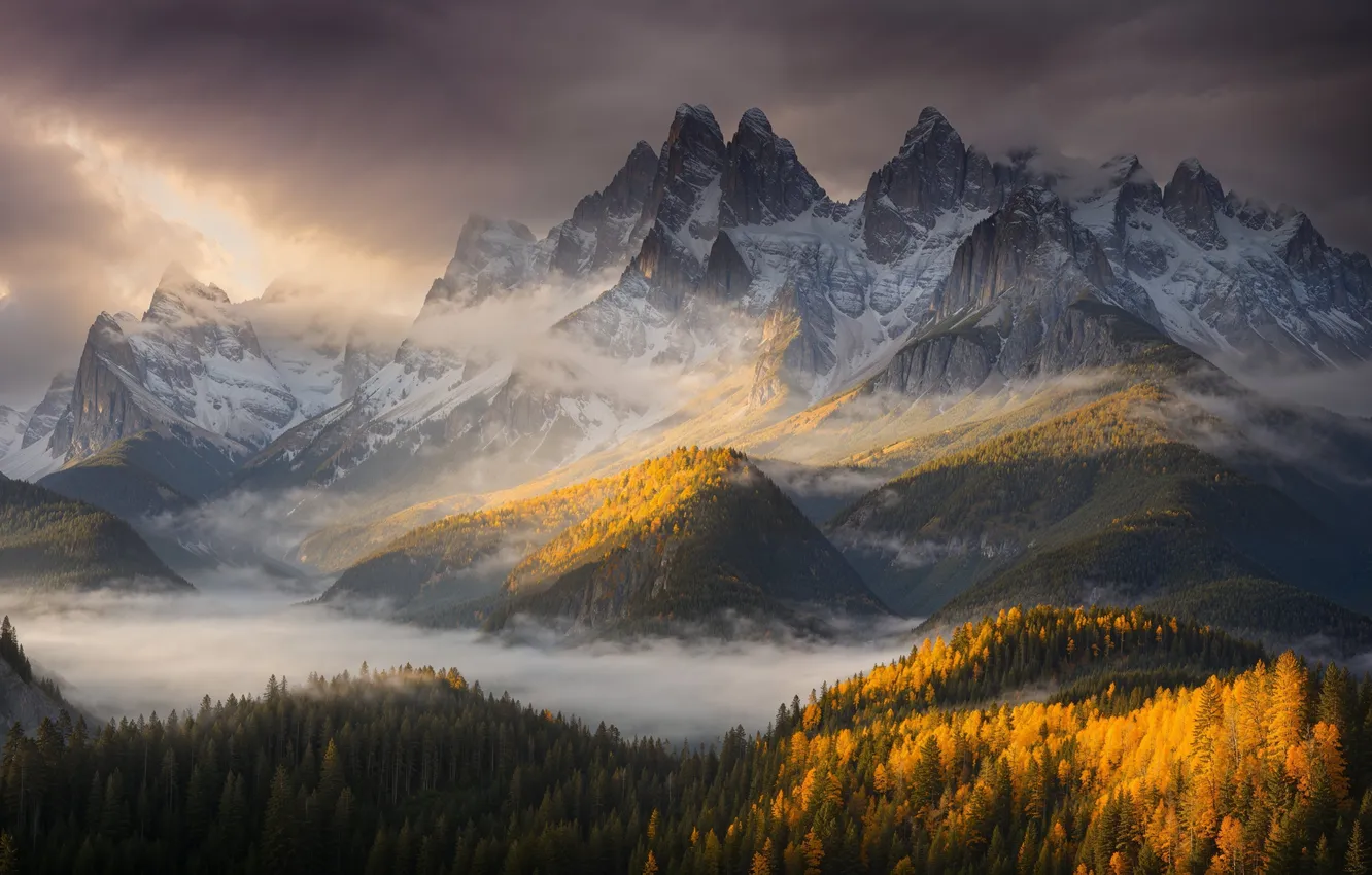 Photo wallpaper autumn, forest, clouds, snow, mountains, nature, fog, tops