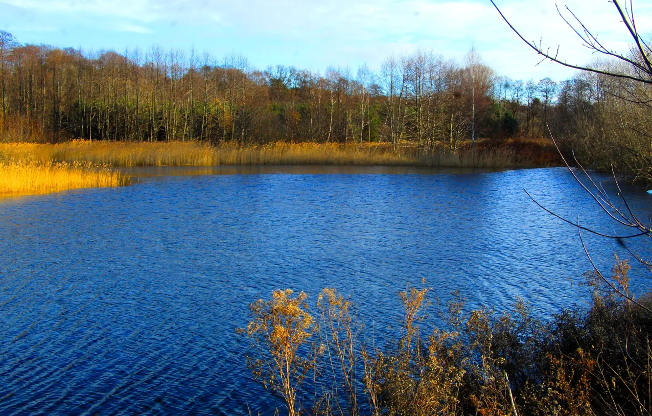 Photo wallpaper water, park, lake