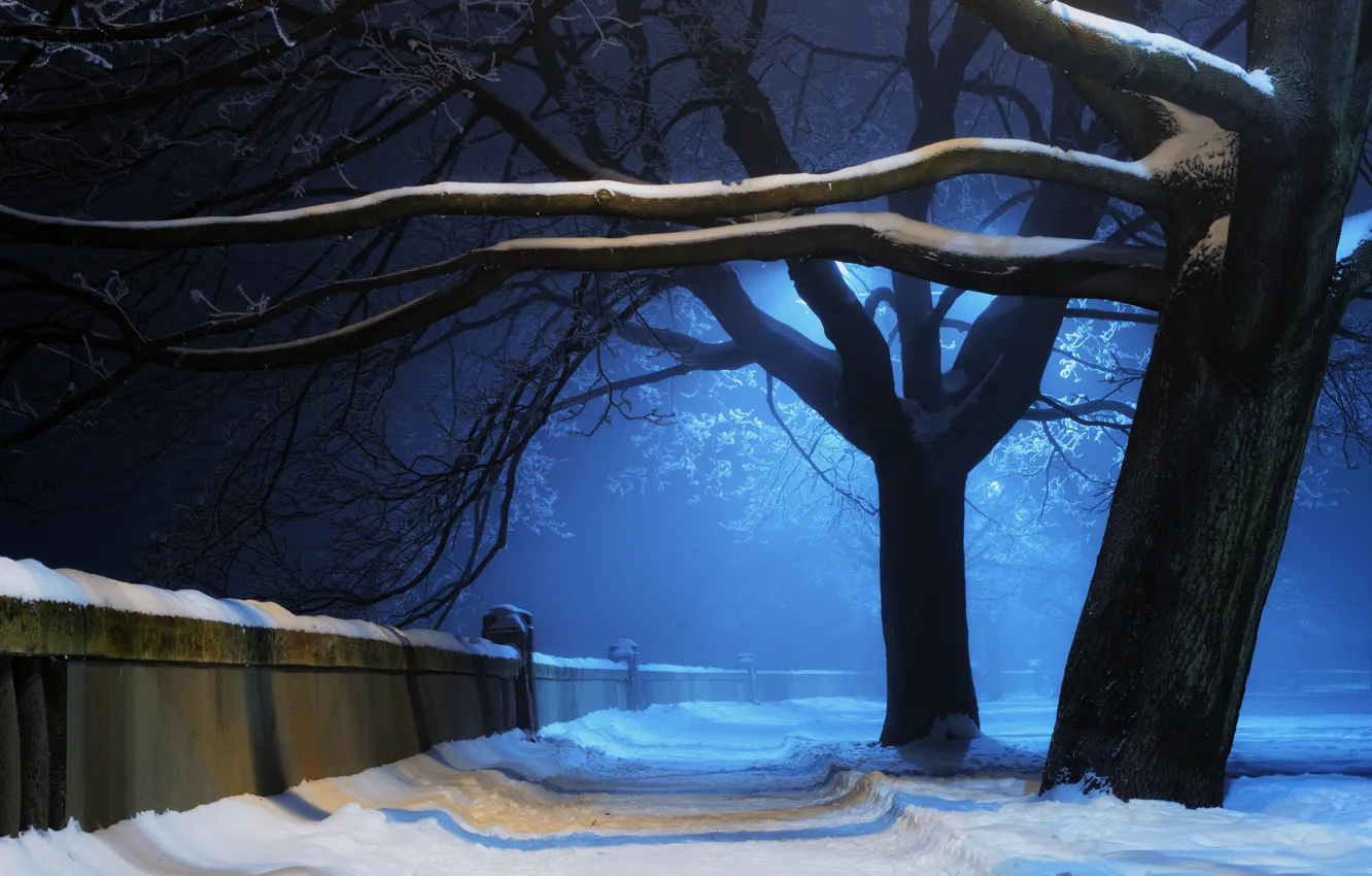 Photo wallpaper winter, light, snow, trees, night, nature, Park, wall