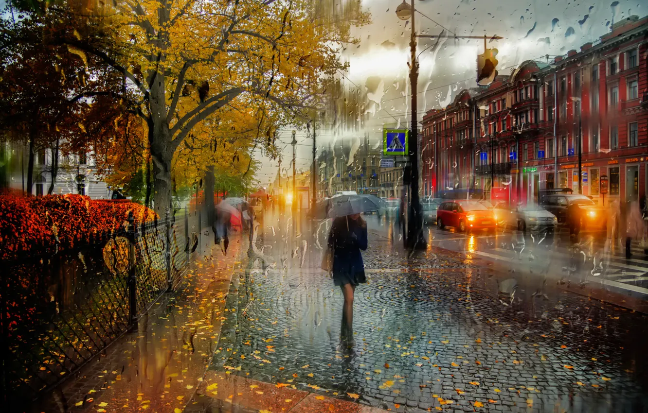 Photo wallpaper girl, rain, umbrella, October, Saint Petersburg