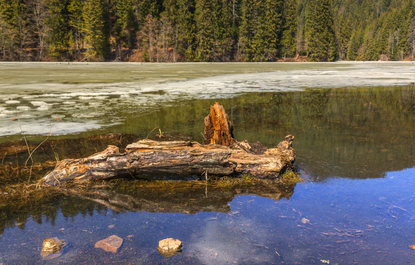 Photo wallpaper pond, Spring 2018, The Red Lake, vernal, Red Lake