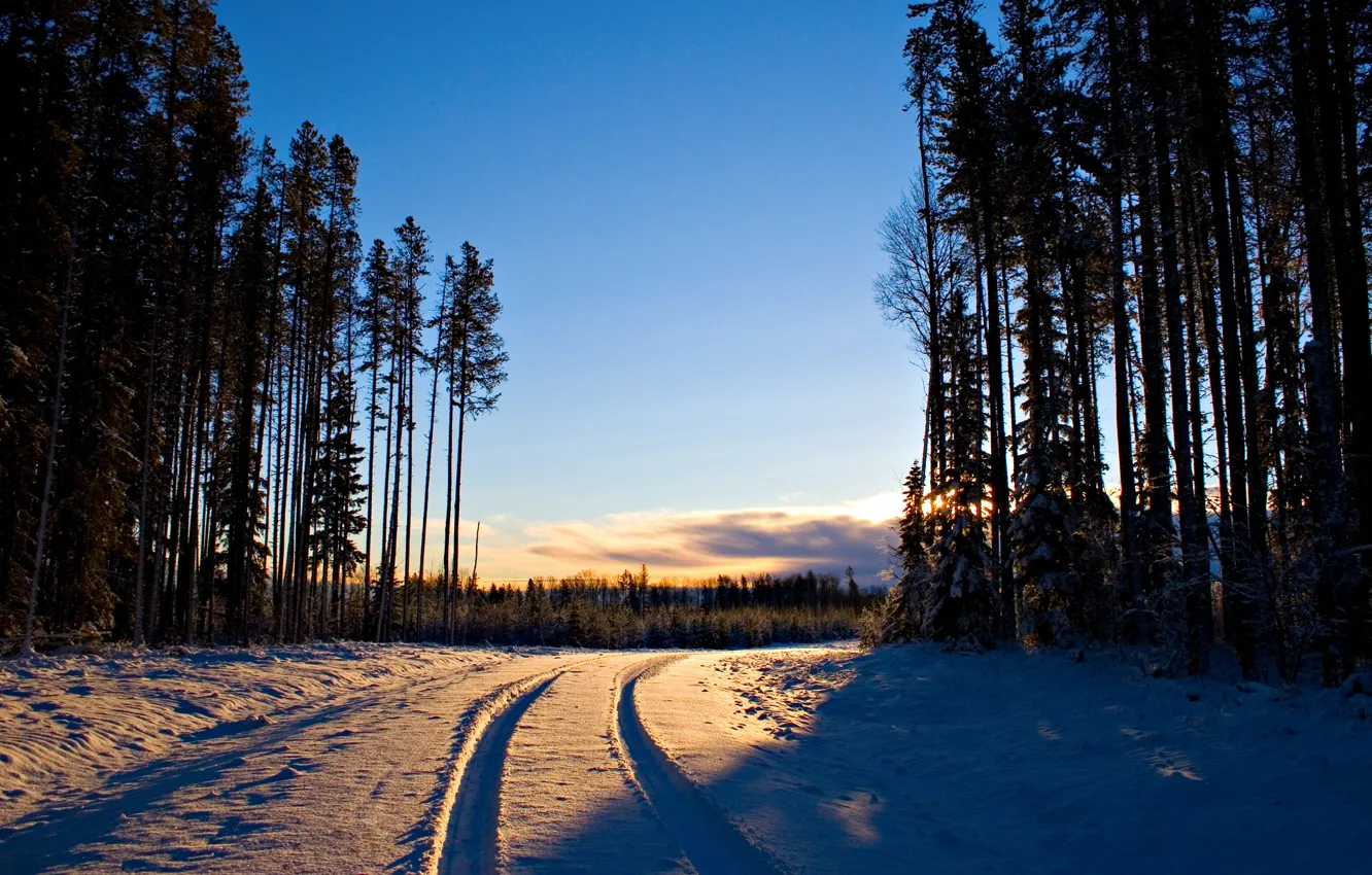 Photo wallpaper winter, road, forest, snow, trees, tree, dawn, landscapes