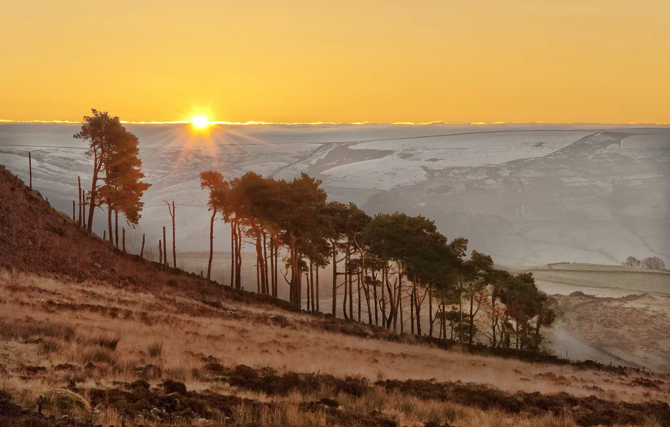 Photo wallpaper trees, sunset, mountains, England, slope, horizon
