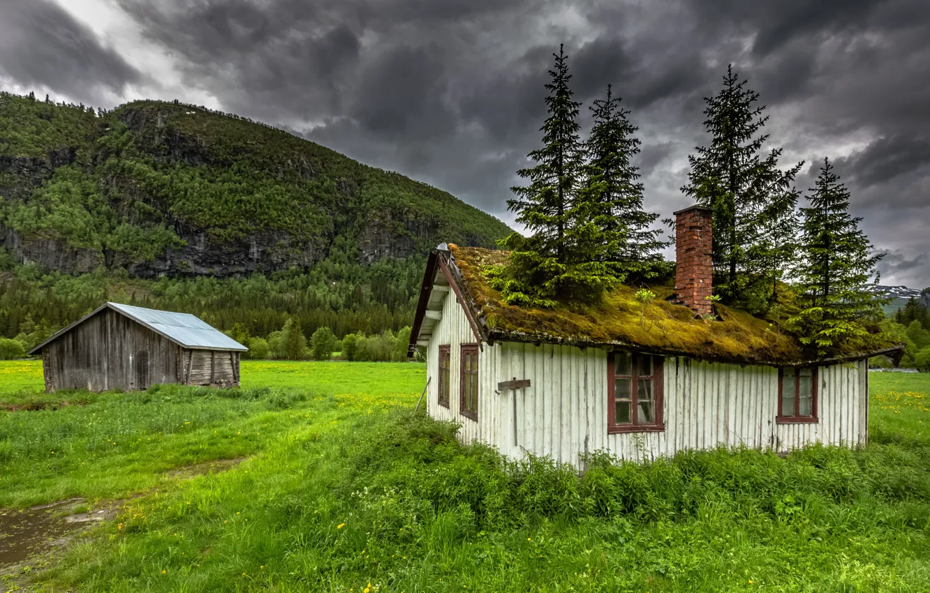 Photo wallpaper roof, trees, mountains, nature, moss, home, house, Norway