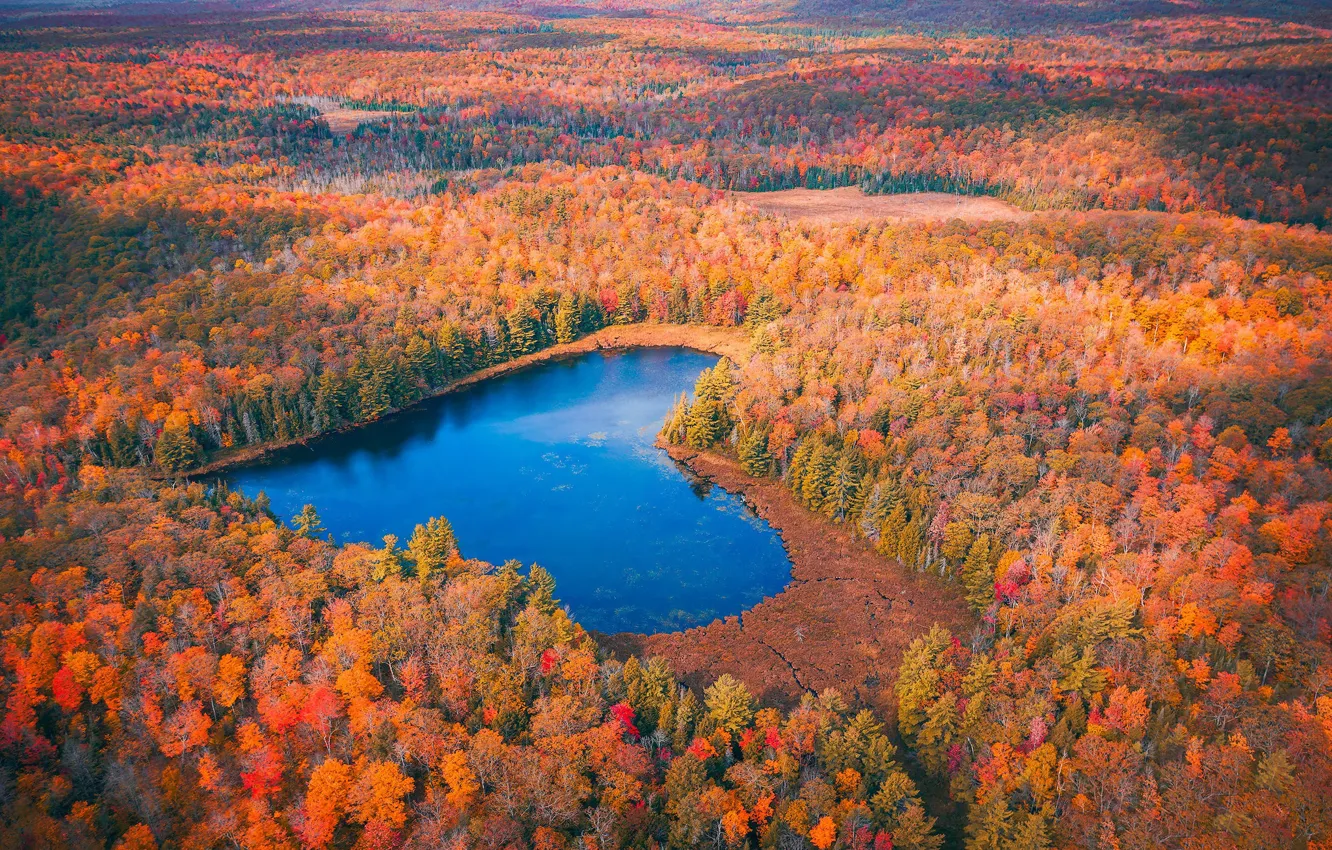 Photo wallpaper autumn, forest, lake