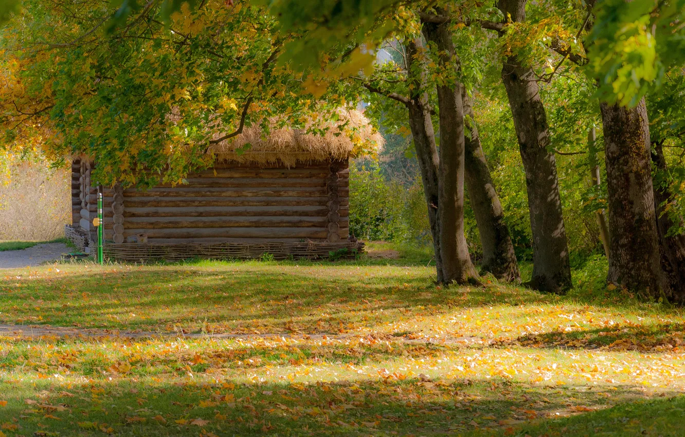 Photo wallpaper autumn, leaves, trees, house