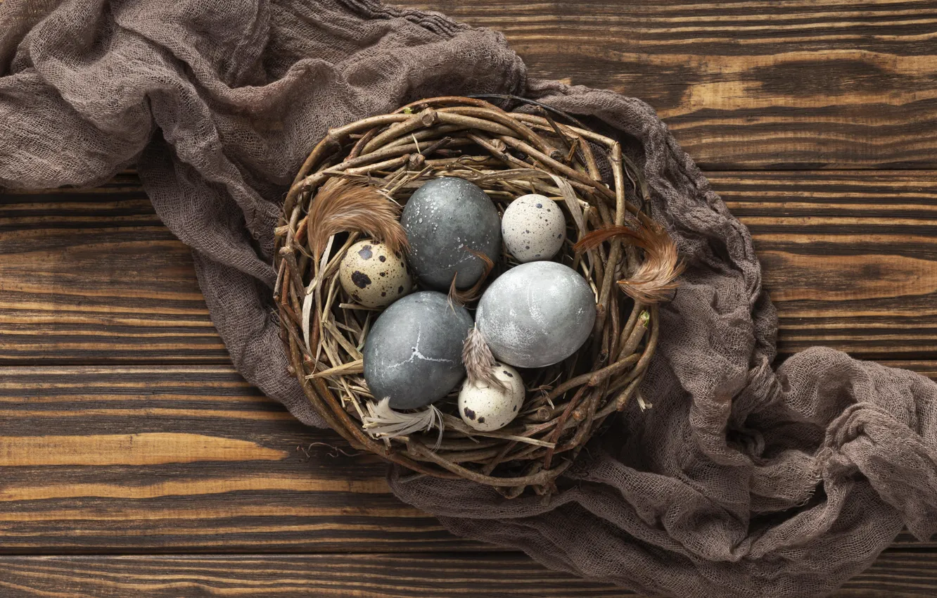 Photo wallpaper grey, feathers, eggs, holiday, chicken, Easter, eggs, Board