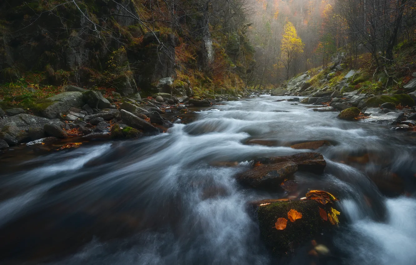 Photo wallpaper autumn, forest, landscape, nature, fog, river, stones