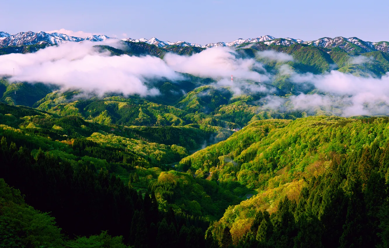 Photo wallpaper forest, the sky, mountains, fog, spring, morning, Japan, Honshu