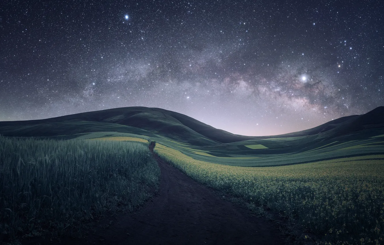 Photo wallpaper road, field, summer, space, stars, flowers, mountains, night