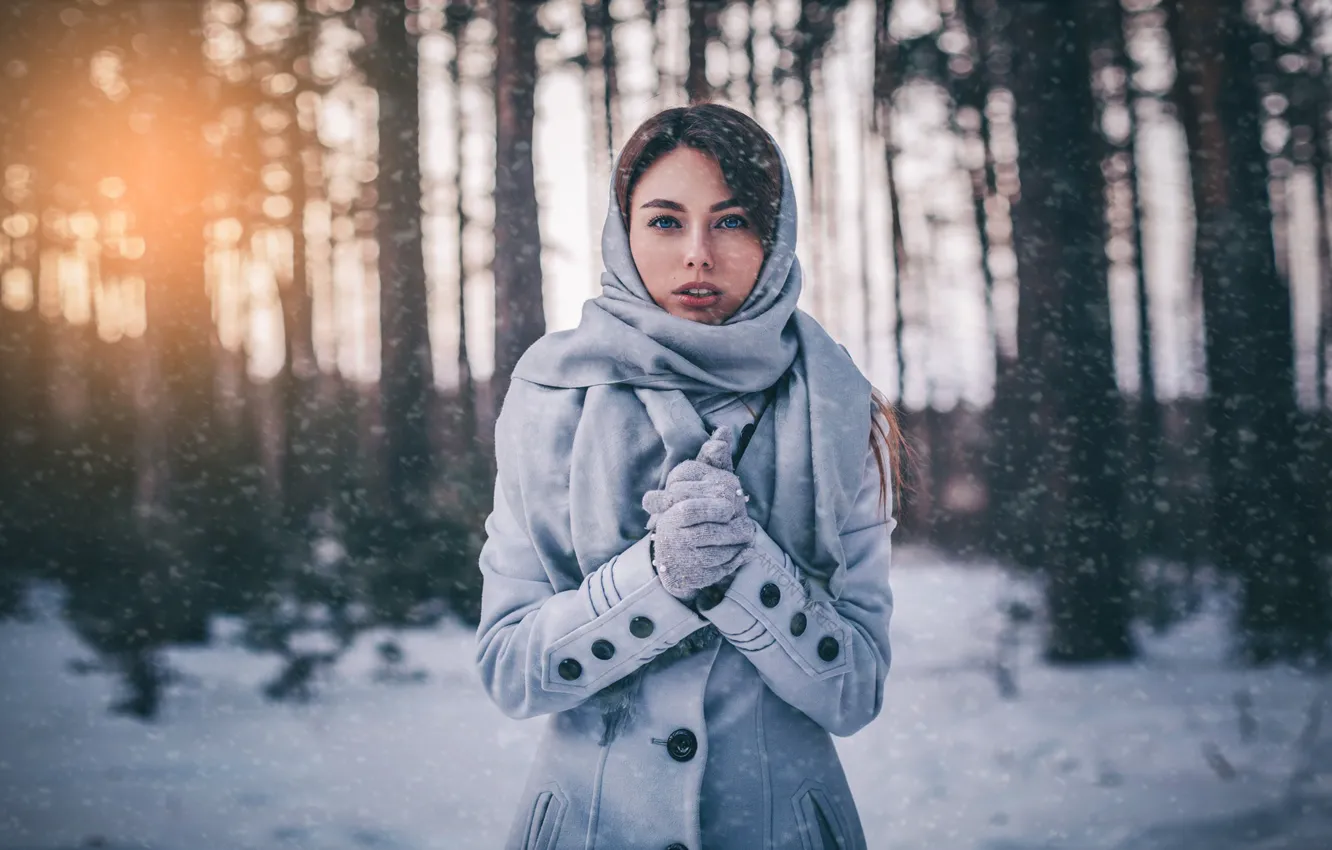 Photo wallpaper winter, forest, look, the sun, snow, trees, pose, Park