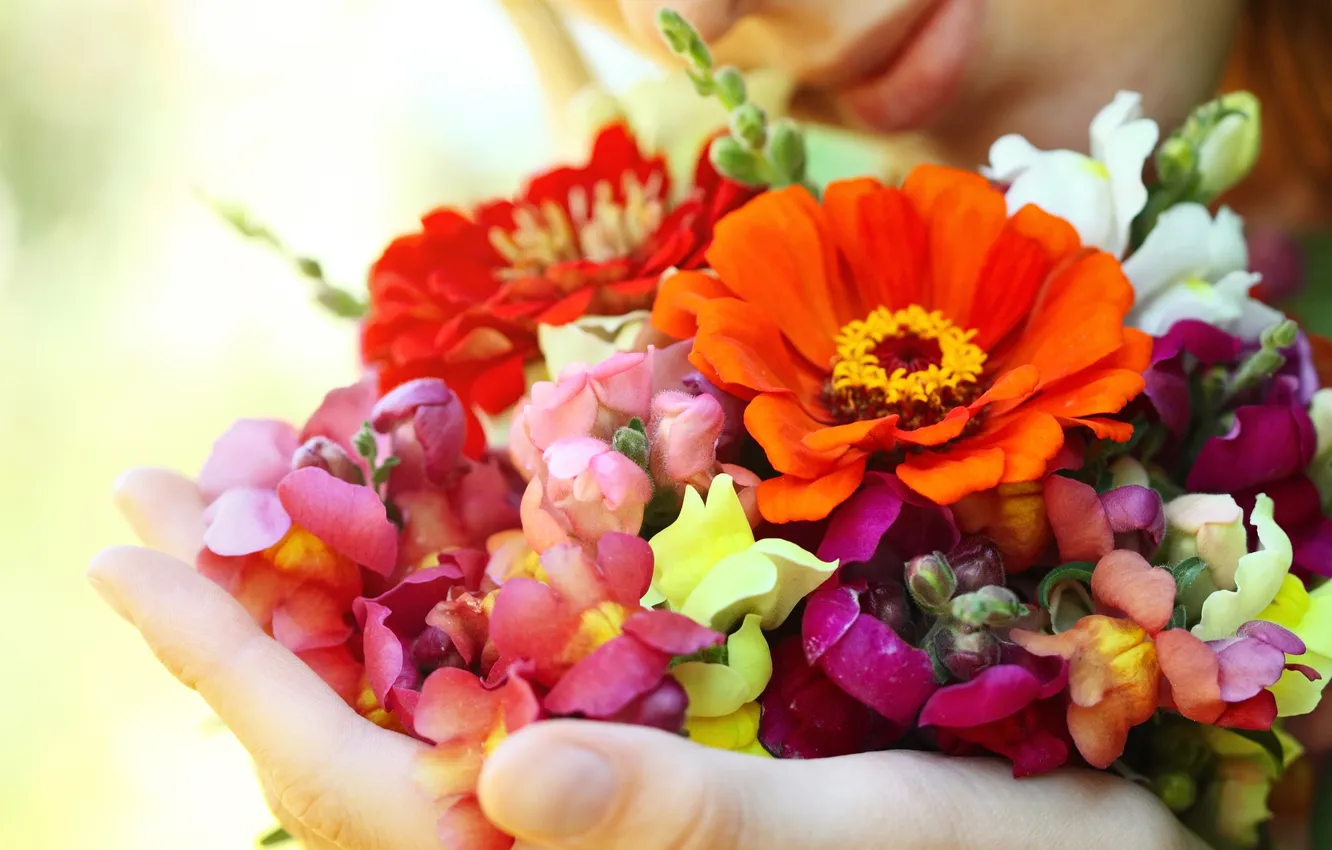 Photo wallpaper girl, flowers, hands
