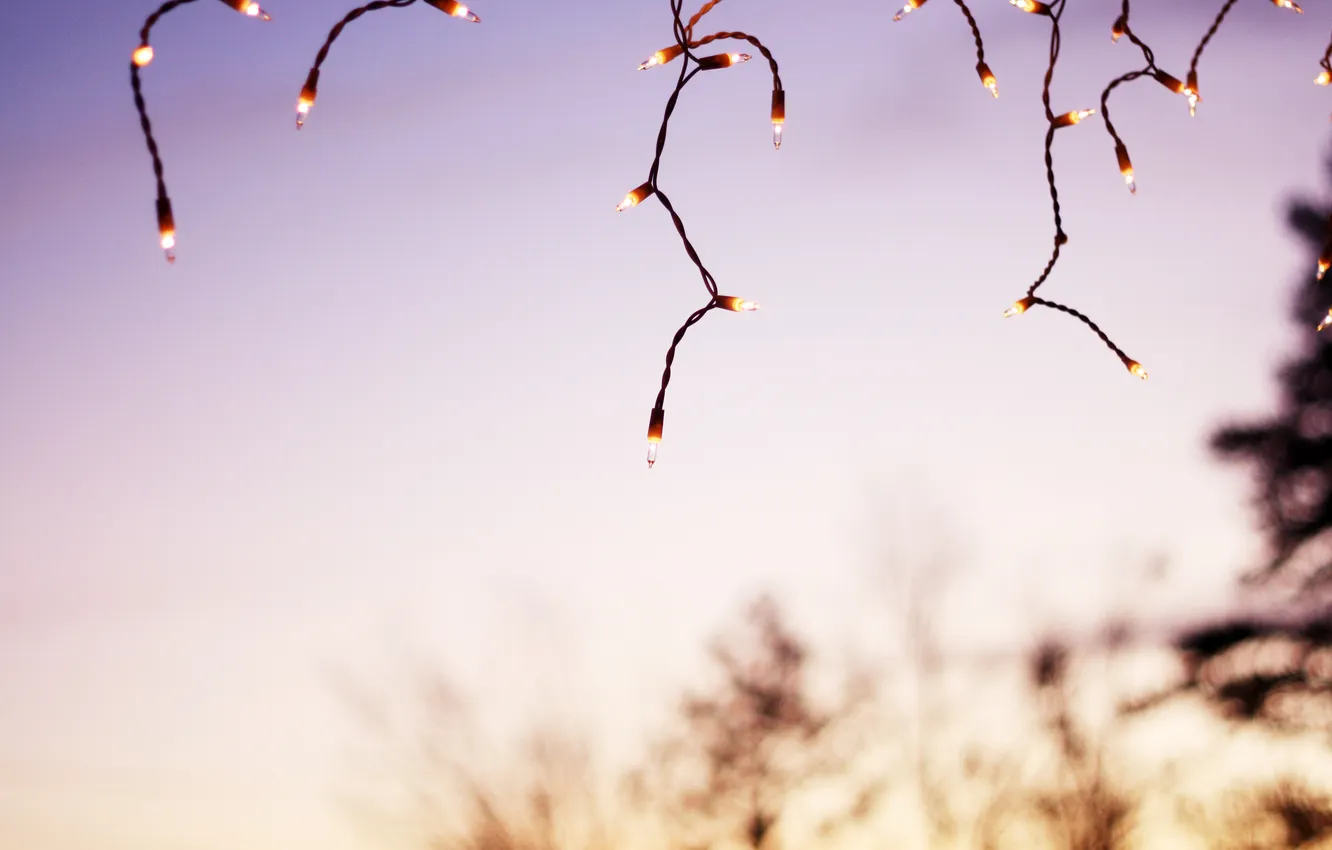 Photo wallpaper the sky, sunset, lights, garland