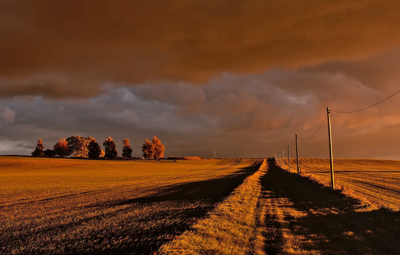 Photo wallpaper road, field, autumn, the sky, clouds, light, trees, clouds