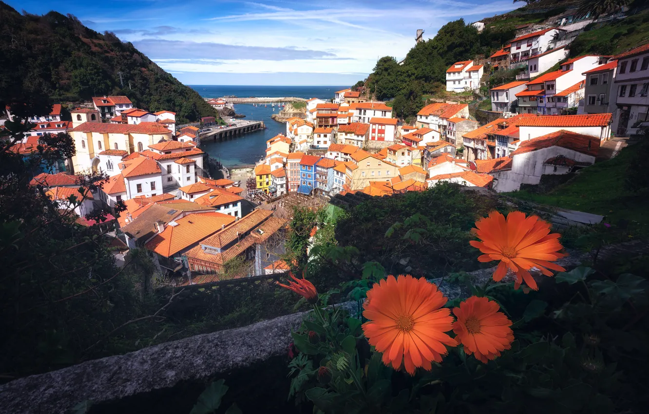 Photo wallpaper sea, summer, flowers, the city, hills, shore, building, home