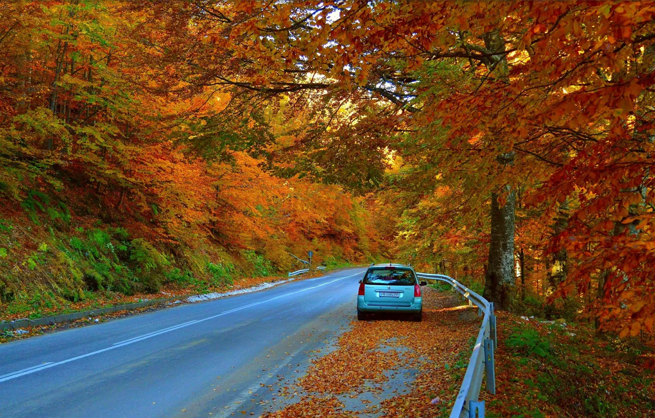 Photo wallpaper Road, Autumn, Machine, Car, Fall, Foliage, Car, Autumn