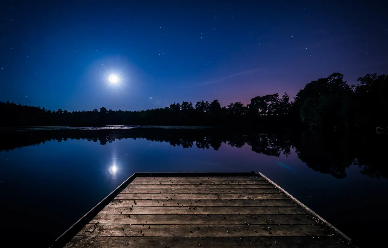 Photo wallpaper forest, the sky, trees, landscape, night, nature, lake, the moon
