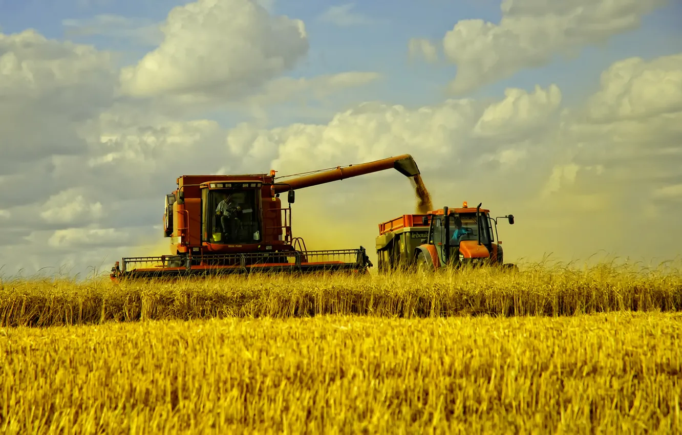 Photo wallpaper wheat, field, landscape, machine, hay, grass, autumn, fields