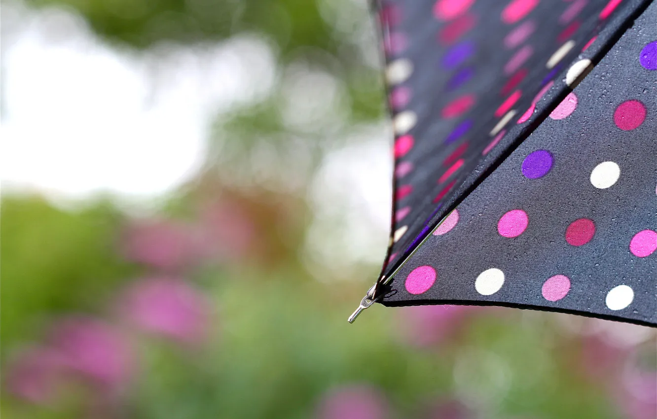 Photo wallpaper drops, umbrella, rain, black, focus, umbrella, polka dot, blur