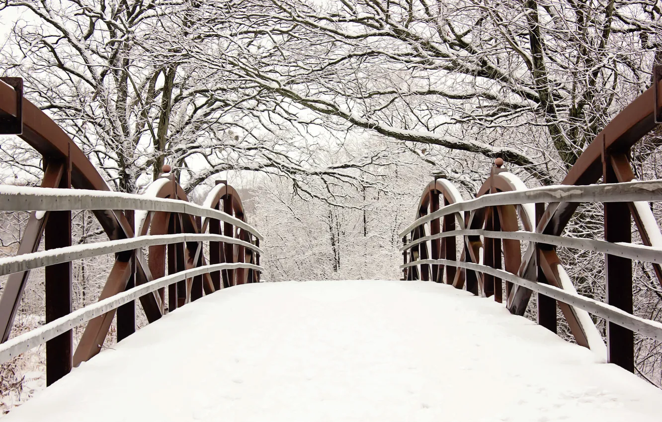 Photo wallpaper winter, snow, trees, branches, bridge, nature, fence