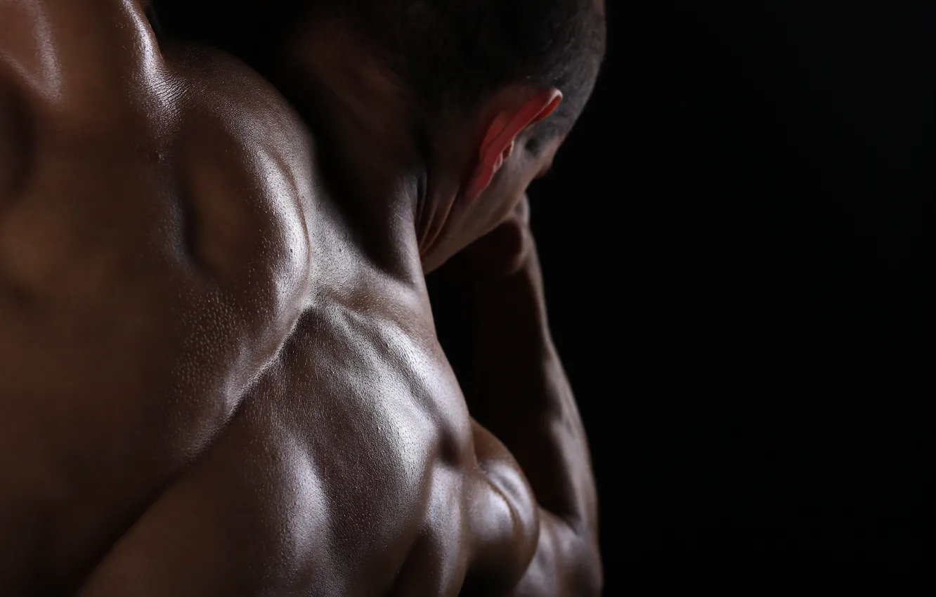 Photo wallpaper Muscle, man, body, sports, fitness, strong