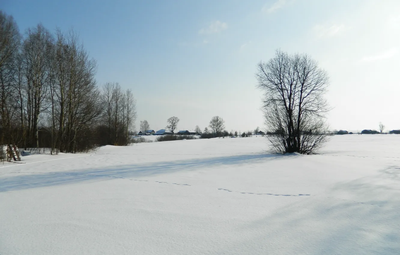 Photo wallpaper winter, snow, landscape