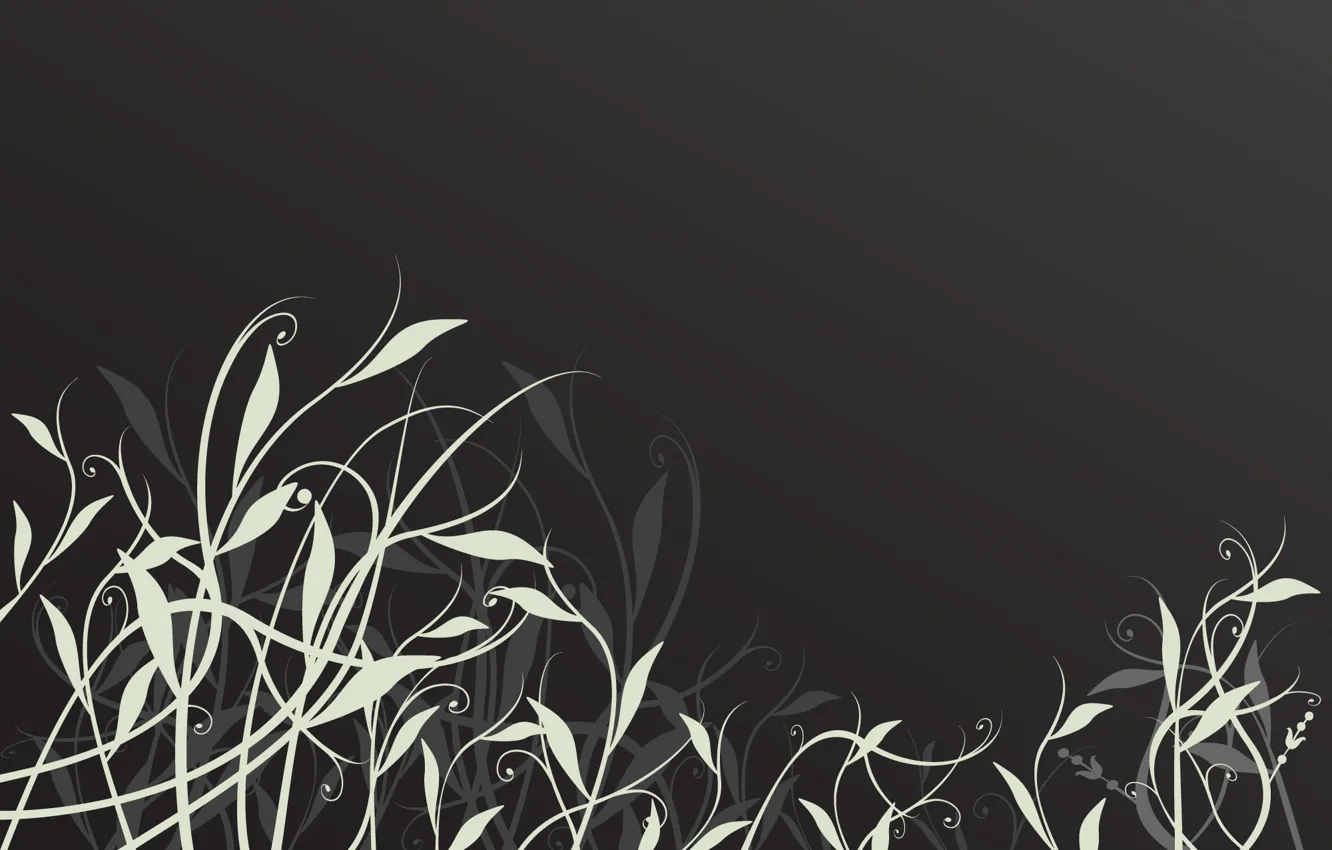 Photo wallpaper grass, night, patterns, graphics