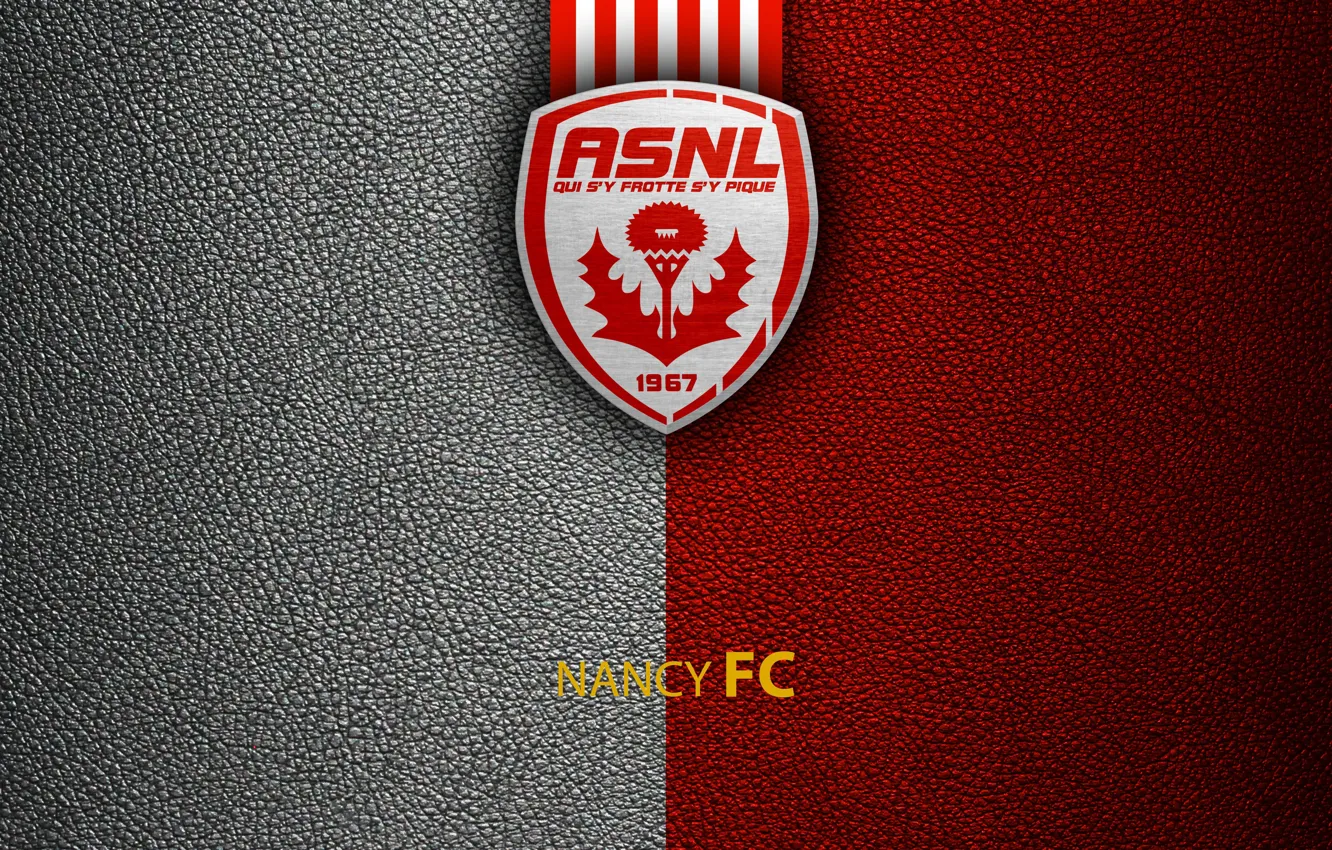 Photo wallpaper wallpaper, sport, logo, football, Nancy, Ligue 1