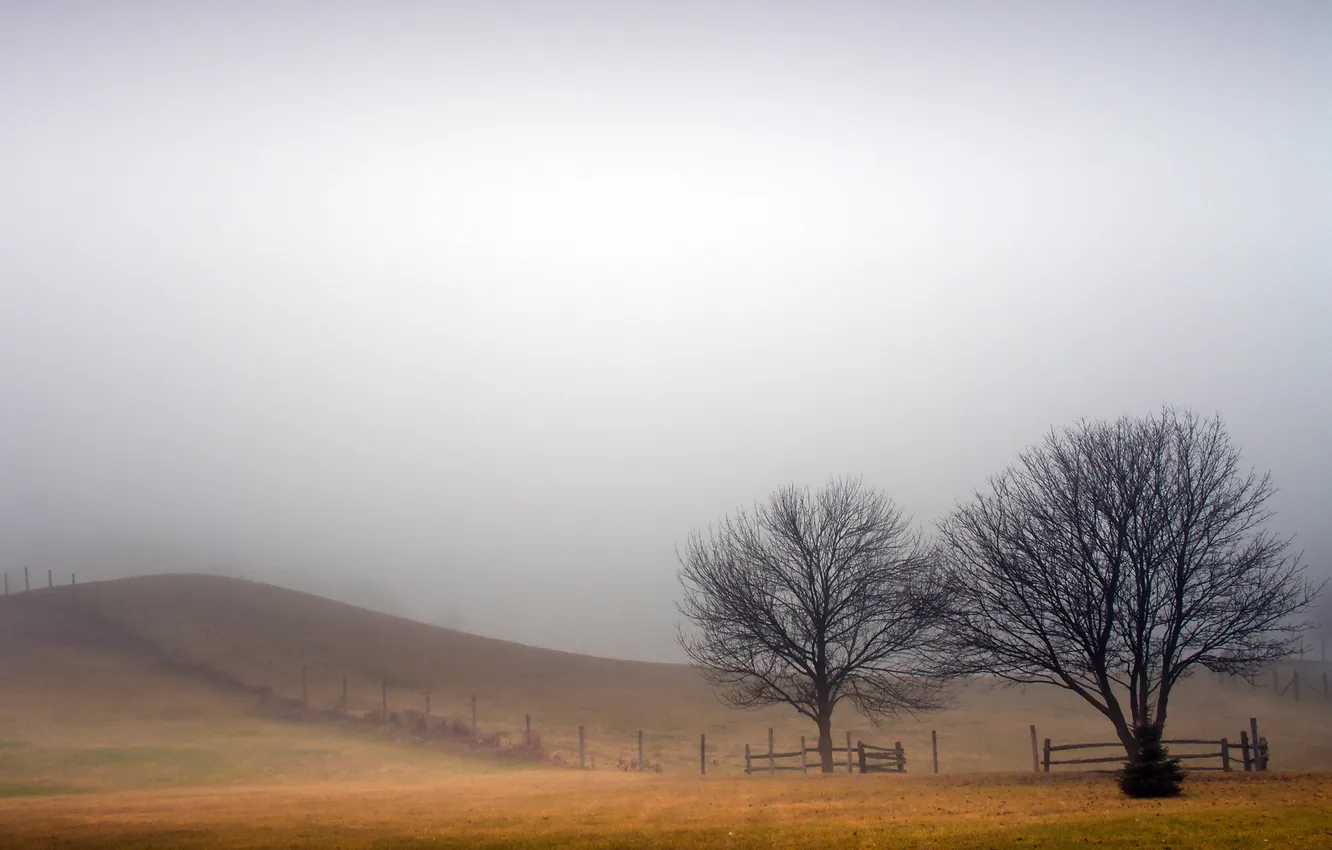 Photo wallpaper field, landscape, fog, the fence