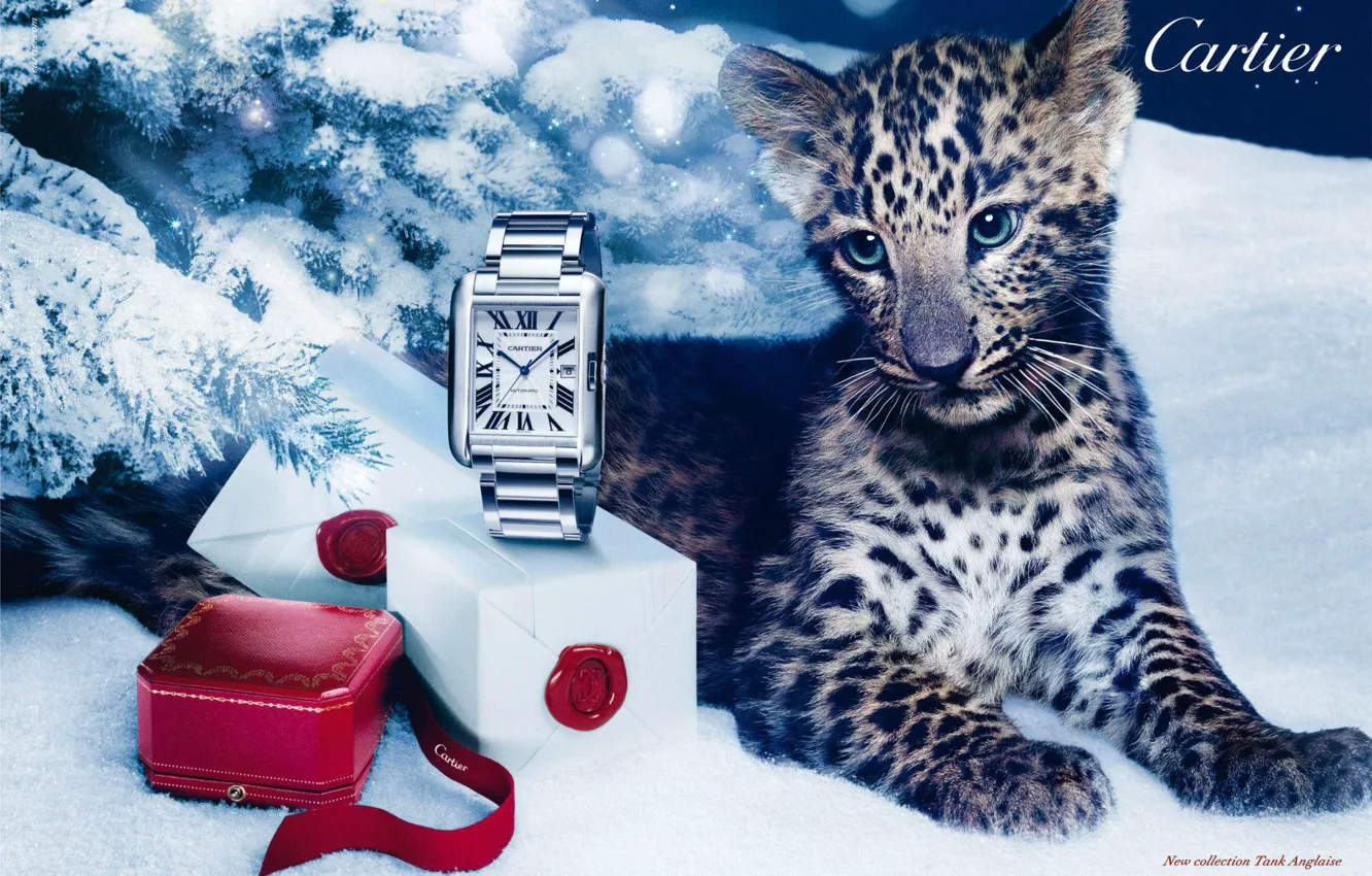 Photo wallpaper style, box, gift, watch, leopard, Cartier