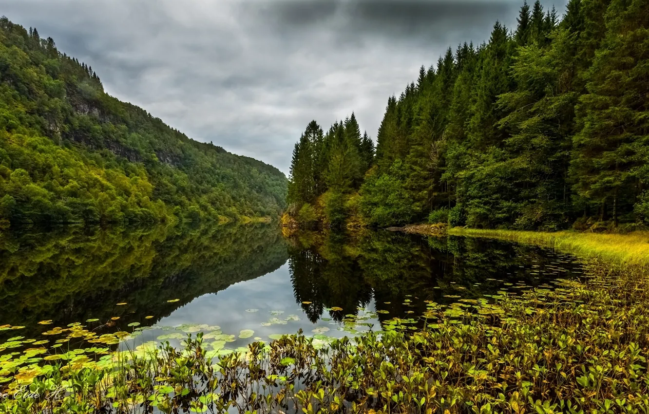 Photo wallpaper forest, lake, Norway, Norway, Osteroy, Kossdalen valley, Of osterøy