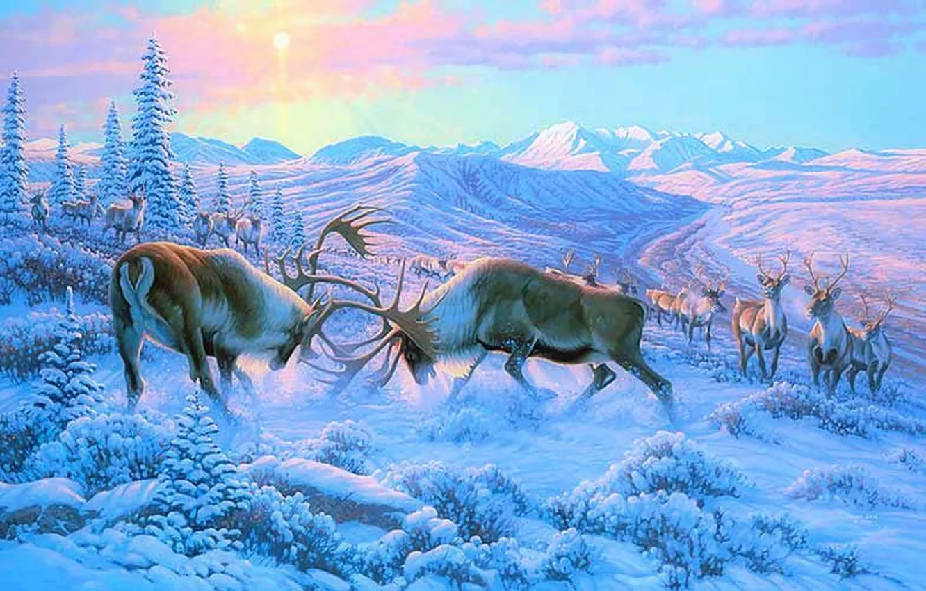 Photo wallpaper winter, forest, animals, snow, mountains, fight, horns, deer