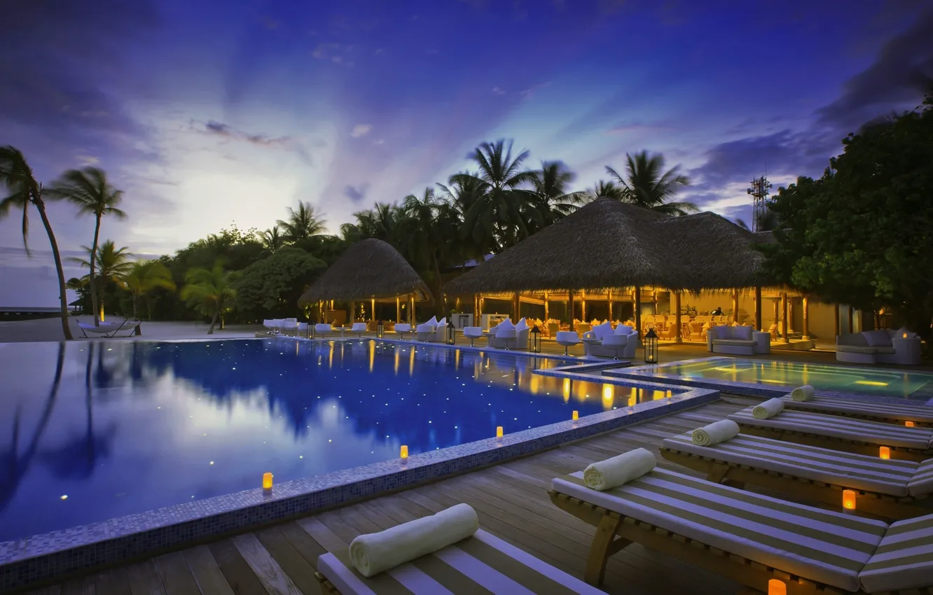 Photo wallpaper palm trees, the ocean, pool, resort, exotic, resort