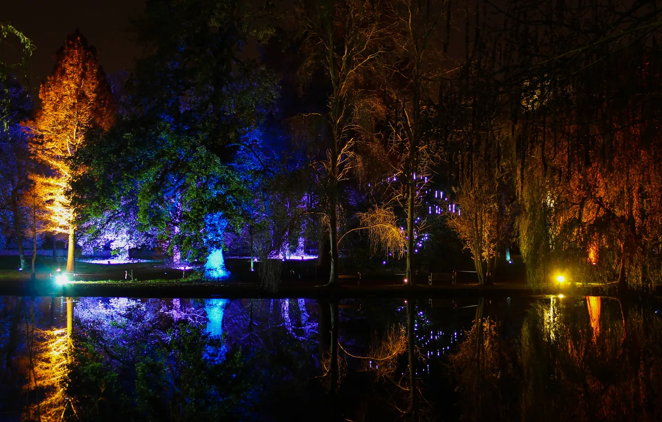 Photo wallpaper light, trees, night, lights, pond, Park