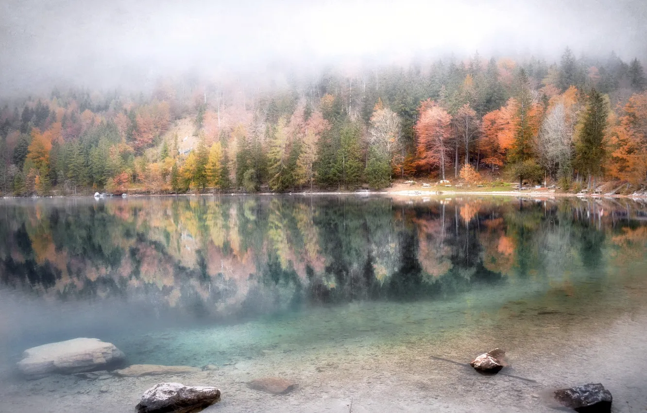 Photo wallpaper autumn, nature, lake