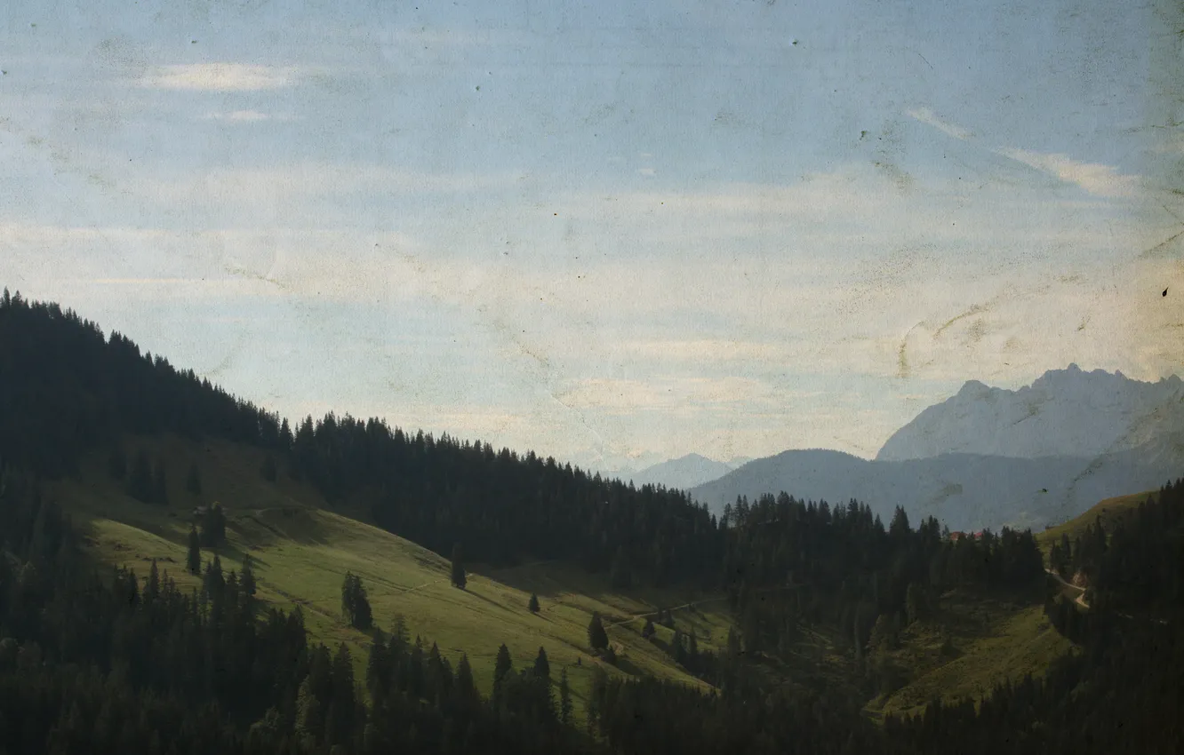 Photo wallpaper forest, trees, landscape, creative, Wallpaper