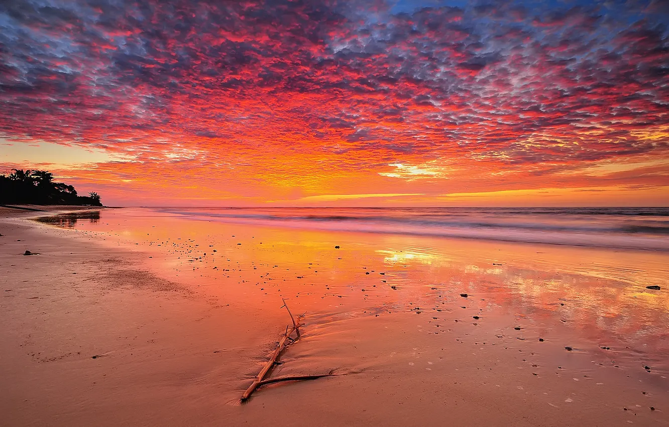 Photo wallpaper sea, wave, beach, the sky, clouds, sunrise, horizon, snag